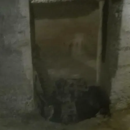 Corte Marchese * Presicce